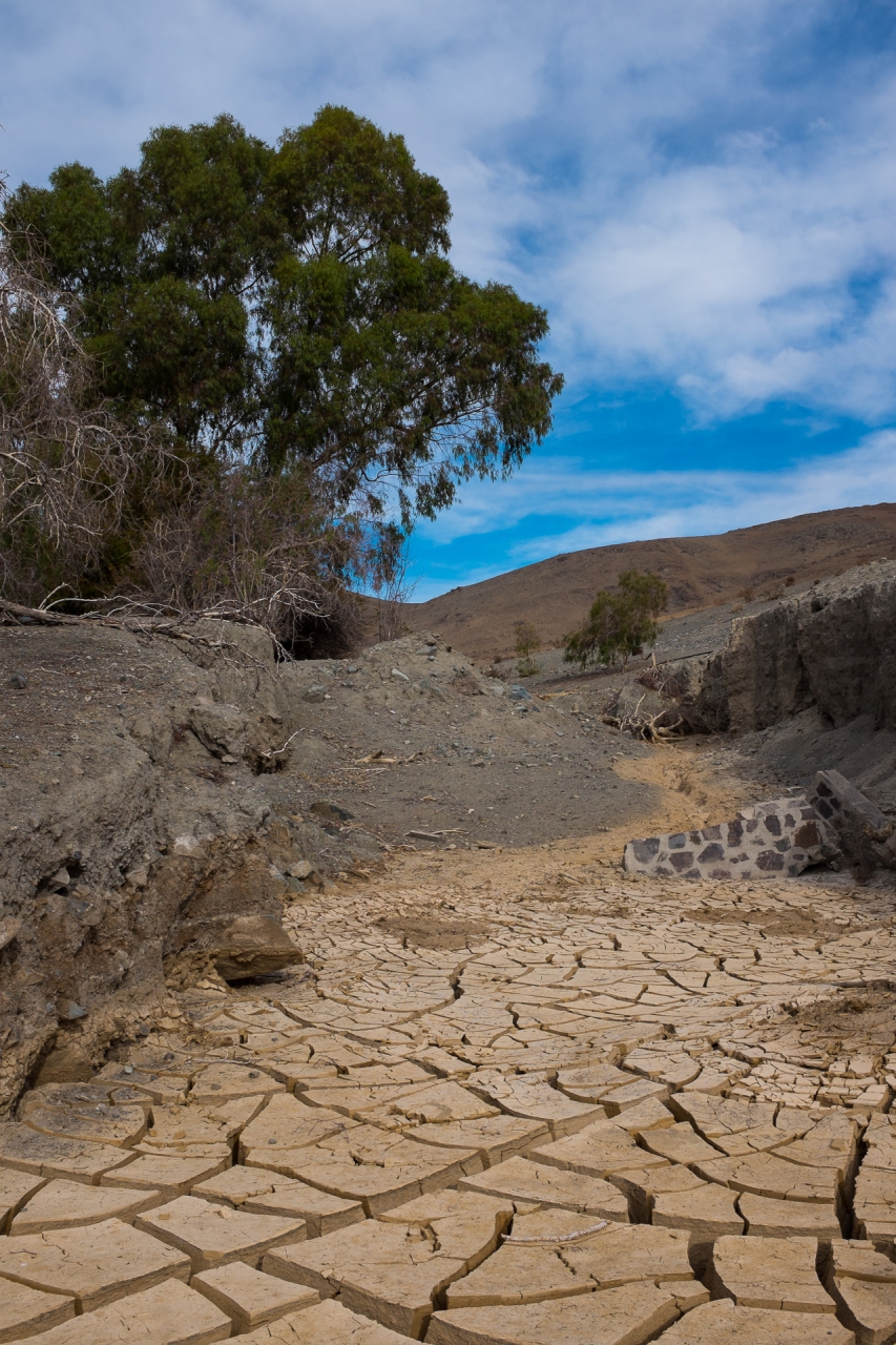 20140502_Chile-9